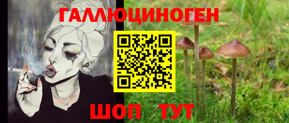 Галлюциногенные грибы GOLDEN TEACHER Вязники